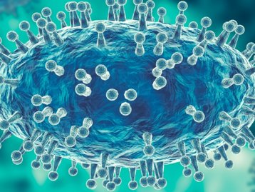Vírus podem servir de alimento para microrganismos, mostra estudo