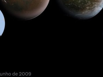 Twitter: Elon Musk muda nome para Mr. Tweet e não consegue reverter
