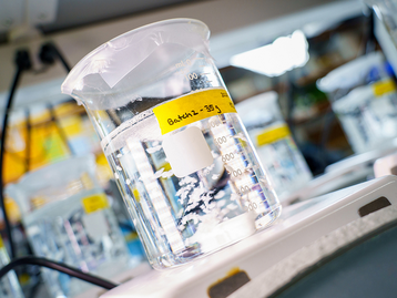 Novo biomaterial cicatriza tecidos humanos de dentro para fora