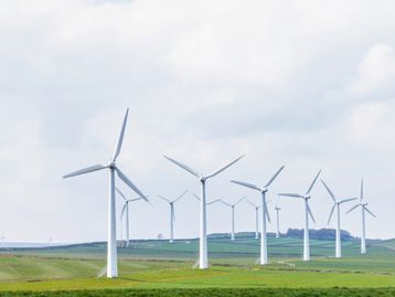 A evolução da energia eólica no Brasil e no mundo