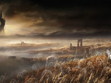 Elden Ring: a expansão Shadow of the Erdtree é revelada, conheça o DLC!