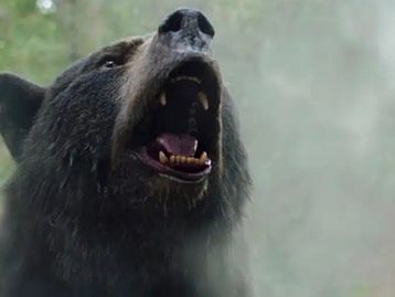 Cocaine Bear: conheça a história real por trás do filme do urso