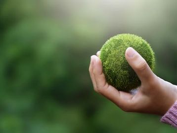ESG: 10 empresas brasileiras que se destacam no mercado