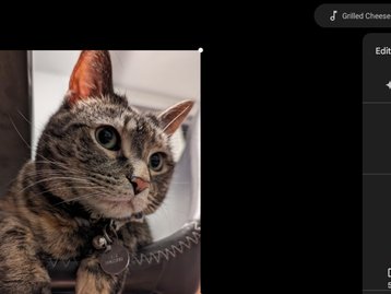 Google Fotos ganha novos recursos para editar vídeos no Chrome OS