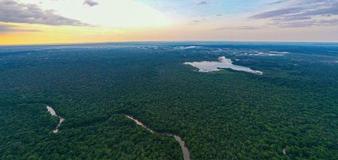 Terras indígenas protegidas na Amazônia evitam milhões de casos de doenças