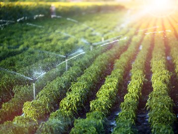 O processo de irrigação pode estar mudando o eixo de rotação da Terra