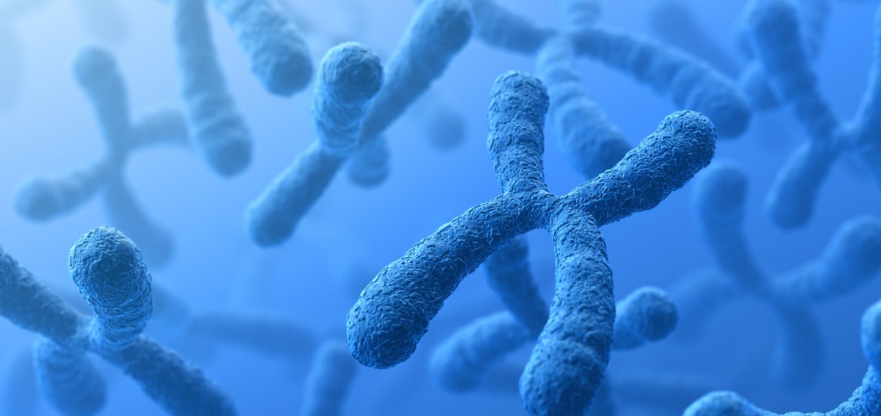 Perda do cromossomo Y pode estar ligado ao desenvolvimento de câncer