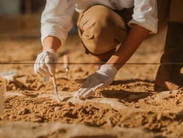 Cientistas recolhem dados genéticos de hominídeo que viveu há 2 milhões de anos 