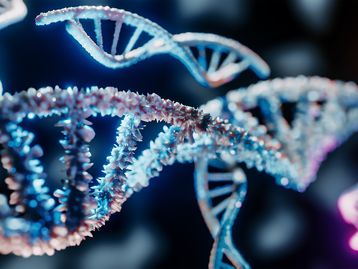 DNA ajuda a desvendar árvore genealógica mais antiga já registrada