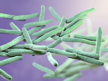 Casos de hanseníase aumentam nos Estados Unidos, diz relatório