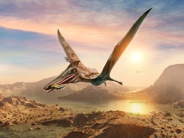 Fóssil de ancestral de pterossauro é descoberto no Rio Grande do Sul; veja