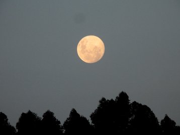 Última Superlua do ano é nesta sexta-feira (29); saiba como observar