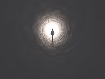 Uma parte de você sobrevive à morte. Saiba o que é o necrobioma