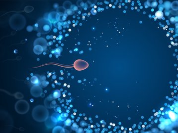 Espermatozoides estão quebrando a 3º Lei de Newton, diz estudo