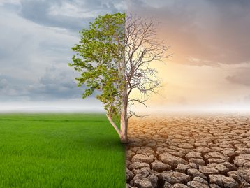 Antropoceno: podemos estar testemunhando a morte da Natureza, alerta especialista