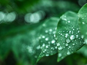 Cientistas usam apenas luz como forma de evaporação da água