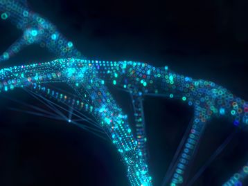 Bebê macaco 'quimera' com alta quantidade de células-tronco tem olhos verdes e dedos fluorescentes