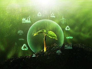 Como produzir sem plantar? Veja alternativa livre da agricultura