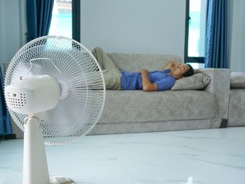 Ventiladores Arno: 6 modelos para investir no verão