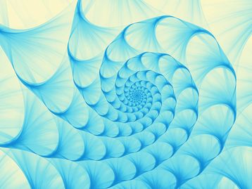 Vídeo mostra baleias fazendo sequência de Fibonacci na Antártica; veja!