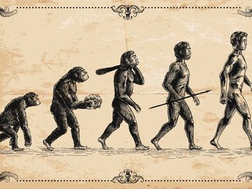 Evolução: Neandertais e Homo sapiens são mesmo espécies diferentes? Entenda