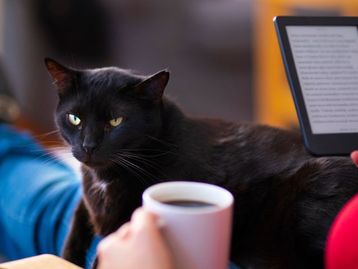 Mais de 45 eBooks em oferta na Amazon: George Orwell, Jane Austen, Collen Hoover e outros autores a partir de R$ 0,90