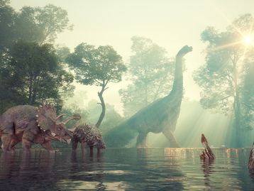 Quantos anos vivia em média um dinossauro? Descubra