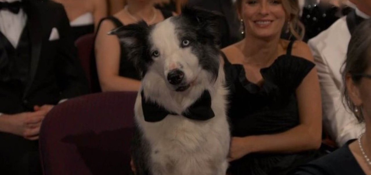 Oscar 2024: conheça o cachorro que roubou a cena na premiação