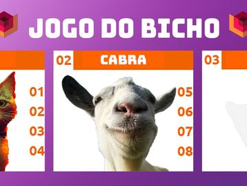Jogo do Bicho: 8 melhores animais para jogar em 2024!