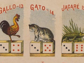 Jogo do Bicho: tudo que você precisa saber antes de jogar