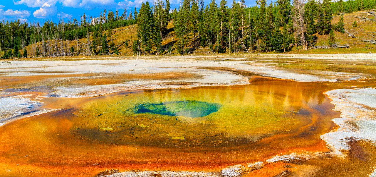 Os vírus pré-históricos das fontes termais de Yellowstone