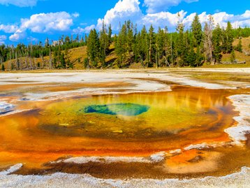 Os vírus pré-históricos das fontes termais de Yellowstone