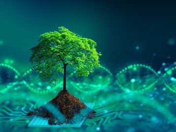 A fotossíntese artificial pode ser a chave para um futuro mais sustentável?