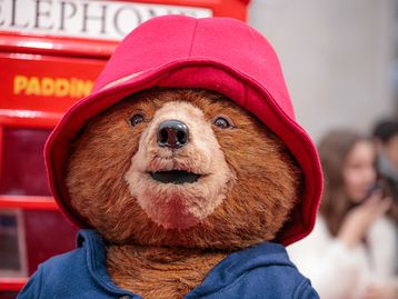 Google ganha easter egg com sanduíches do filme Paddington; veja como acessar