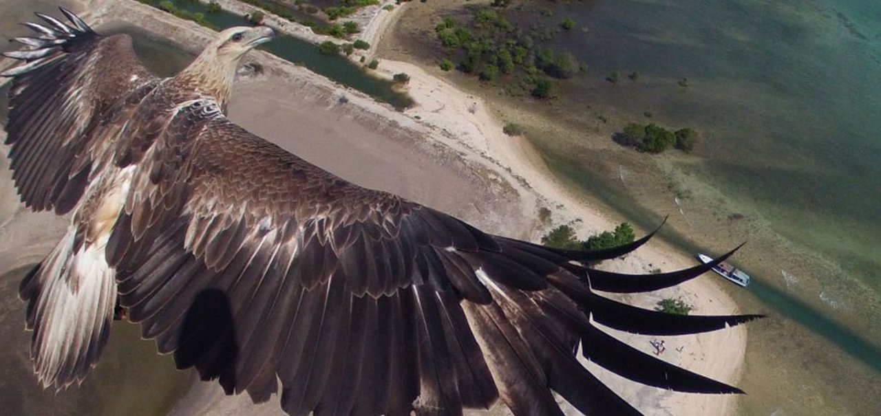 "Concurso fotográfico para drones" gera imagens incríveis