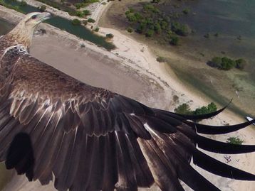 "Concurso fotográfico para drones" gera imagens incríveis