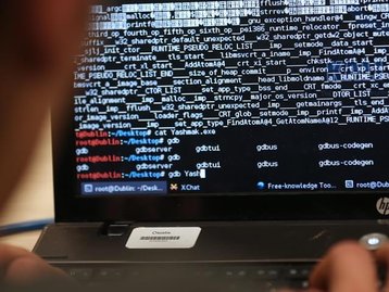 Hackers ucranianos pró-Rússia derrubam sites do governo da Alemanha
