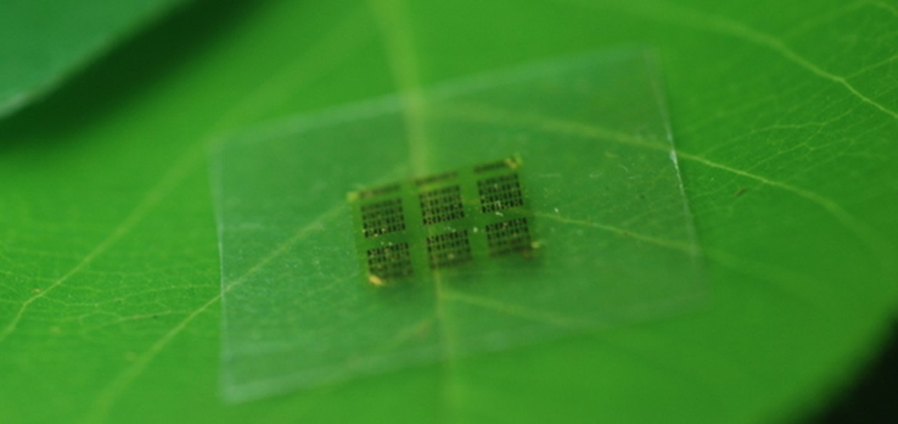 Cientistas descobrem como criar chips biodegradáveis feitos de madeira