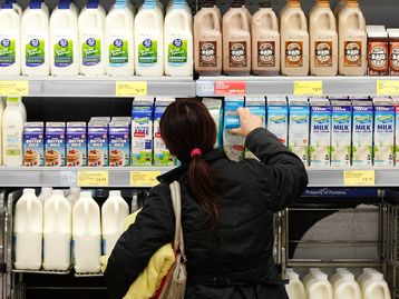 Pesquisadores criam sensor que identifica se um alimento estragou