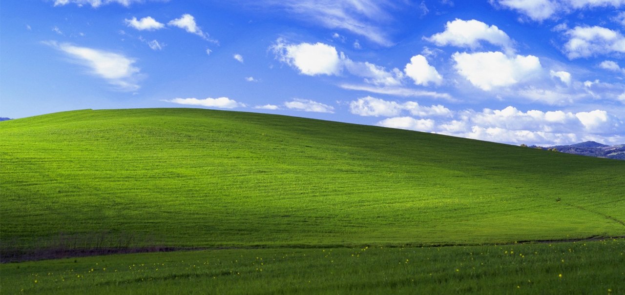 Famoso papel de parede do Windows XP completa 20 anos e Microsoft comemora