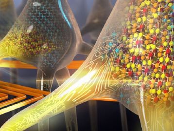 IBM desenvolve neurônios que pensam 'sozinhos'