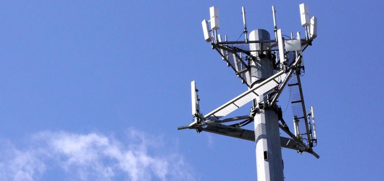 Pesadelo: torre celular de 38 metros é invadida por cobras