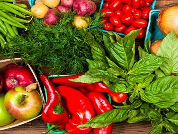 App mapeia via GPS locais que utilizam produtos orgânicos