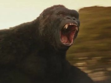 Agora você pode encontrar a Ilha da Caveira de King Kong no Google Maps