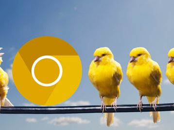 Chrome pode permitir personalizar fundo da tela de nova guia com imagens