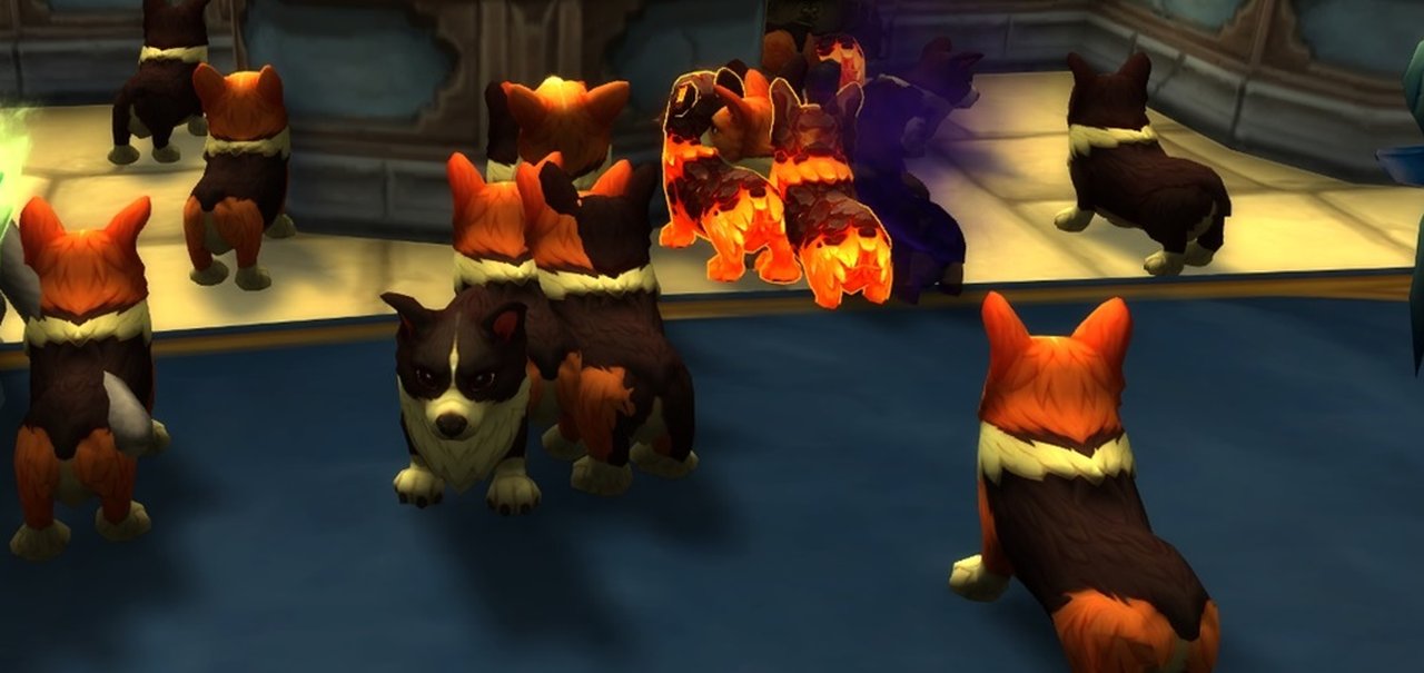 World of Warcraft comemora seu aniversário com vários corgis