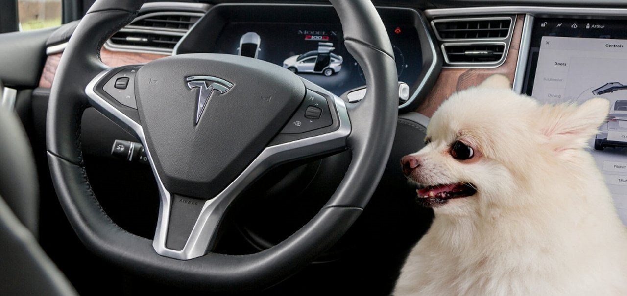 Tesla vai lançar “Modo Cão” e “Modo Sentinela” nos automóveis Model 3