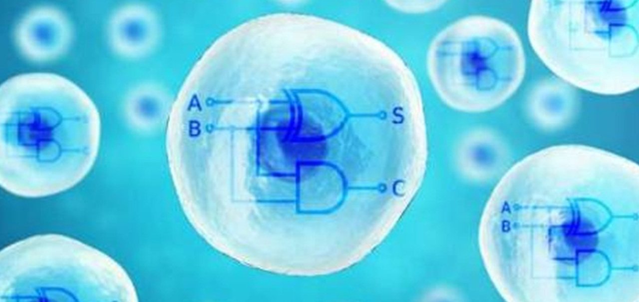 Pesquisadores constroem bioprocessador dual-core em célula humana