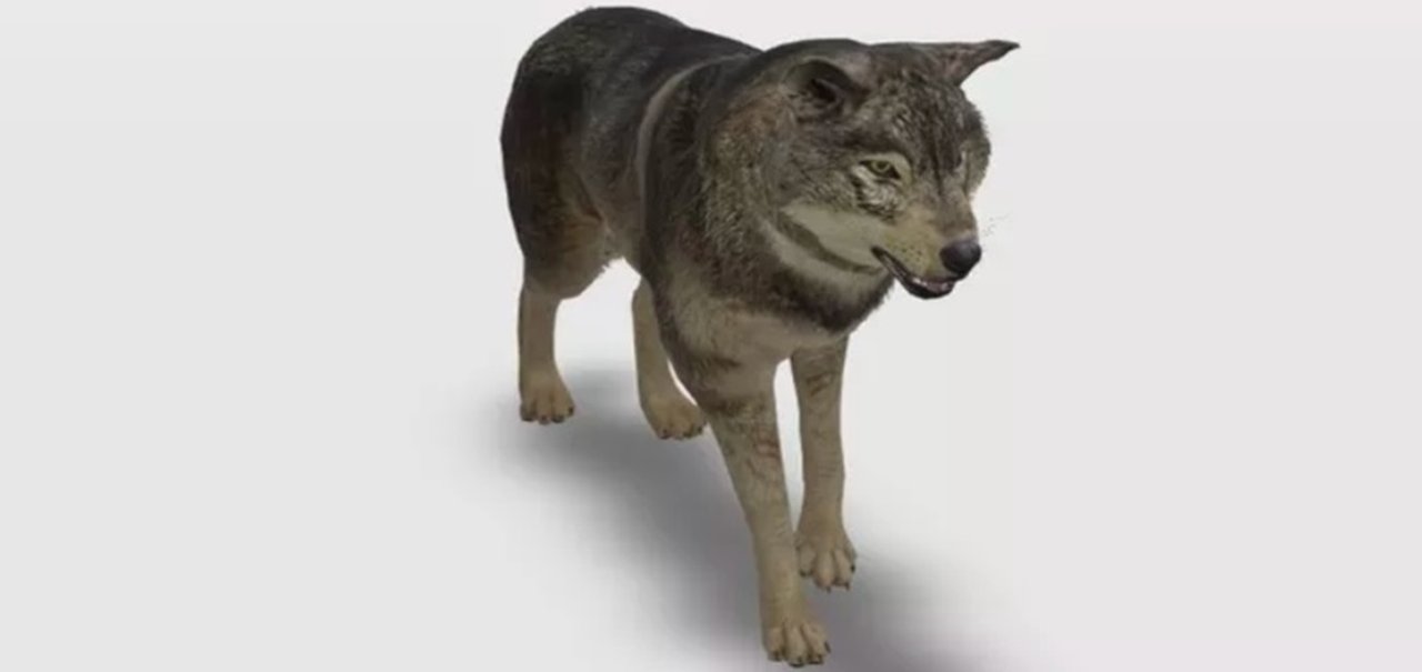 Google agora coloca animais em 3D na vida real com Realidade Aumentada