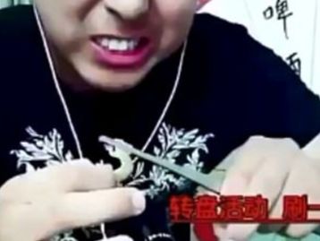 “Youtuber” morre após comer lagartixas e insetos durante live